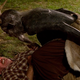 All images: Kim Simms/IFC via Entertainment Weekly